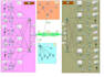 design and simulate cisco packet tracer and cn networks