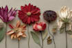 make a botanical illustrations of flowers art