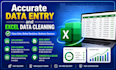 do accurate data entry and excel data cleaning