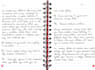 handwrite any language in neat handwriting