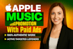 do professional apple music promotion to increase streams