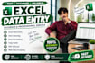 do excel data cleaning, formatting, organising