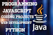 do python, programming, java, projects, coding, and software development