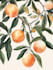 best botanical illustration art