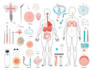 do medical and scientific illustrations