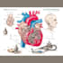 do medical and scientific illustrations