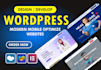 create a professional medical, dental or hospital website