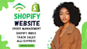 shopify inbox, data conversion, , order management, remote work, track sales