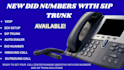 setup did number, sip trunk, telnyx, ivr setup, press1, outbound, inbound, vapi