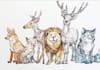 draw animals in cartoon style