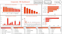 excel dashboard, power bi, HR analytics, etc