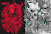 draw dark art illustration with engraving style