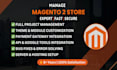 develop magento 2 store with API, google tools, payment and shipping