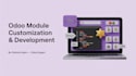 do odoo module customization and development