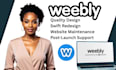design or redesign a weebly website for booking, e commerece or non profit