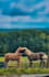 eurer moment in bildern umwandeln
