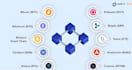 doing complete blockchain and web3 dapp development