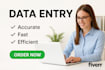 do accurate data entry and typing work