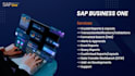 customize, implement, and support your sap b1 system
