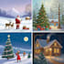 draw christmas illustrations and cards for you