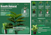 design best website for you