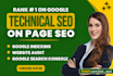 do onpage and technical SEO, google search console indexing, website audit