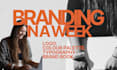 design a refined brand kit ready for a website