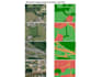 remote sensing and satellite image analysis  includes optical, sar, lidar data