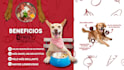 diseño y armado de presentaciones