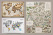 create world maps, city maps, fantasy maps, vector maps project