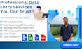 do accurate data entry, copy paste and web research service