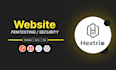 perform website penetration testing and security audit