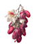 illustrate best botanical illustration