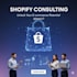provide shopify plus support and consultation