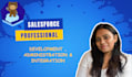 setup, manage, customize, and improve your salesforce CRM