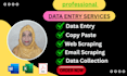 do fastest data entry, copy paste and excel data entry specialist