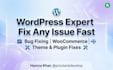 fix wordpress issues, update plugins and themes, and customize your website