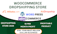 build woocommerce dropshipping website alidropship aliexpress dropshipping store