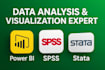 data analysis and visualization expert