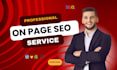 optimize website onpage SEO service wordpress shopify wix squarespace