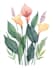 create a botanical illustration