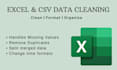 clean and format messy excel data and organize it