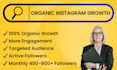 instagram manager for organic growth and instagram promotion