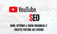 do best youtube video SEO expert optimization