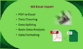 convert PDF to excel, clean, format, split, merge excel data