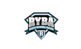 design unique youth baseball association logo