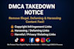 takedown harassing remove defaming content  youtube fb instagram reddit by dmca