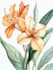 draw a botanical illustration