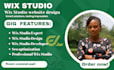 design a professional responsive website using wix studio