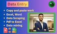 do data entry, copy paste, excel data entry, data conversion